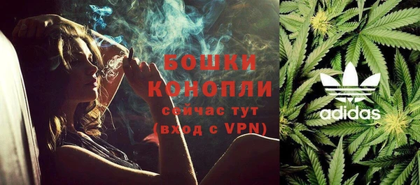 не бодяженный Арсеньев