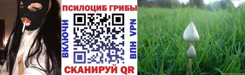 Галлюциногенные грибы мицелий  Малоярославец 
